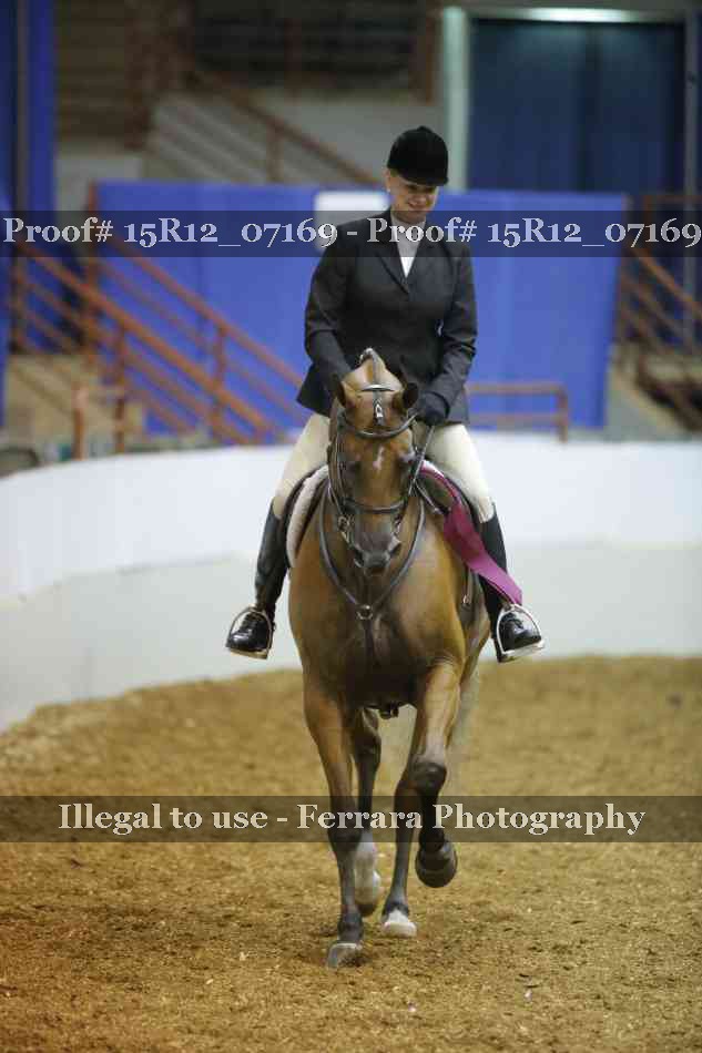 Proof 15R12_07169