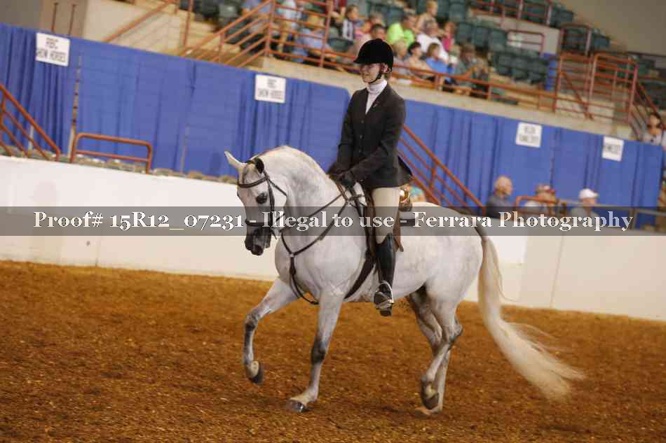 Proof 15R12_07231