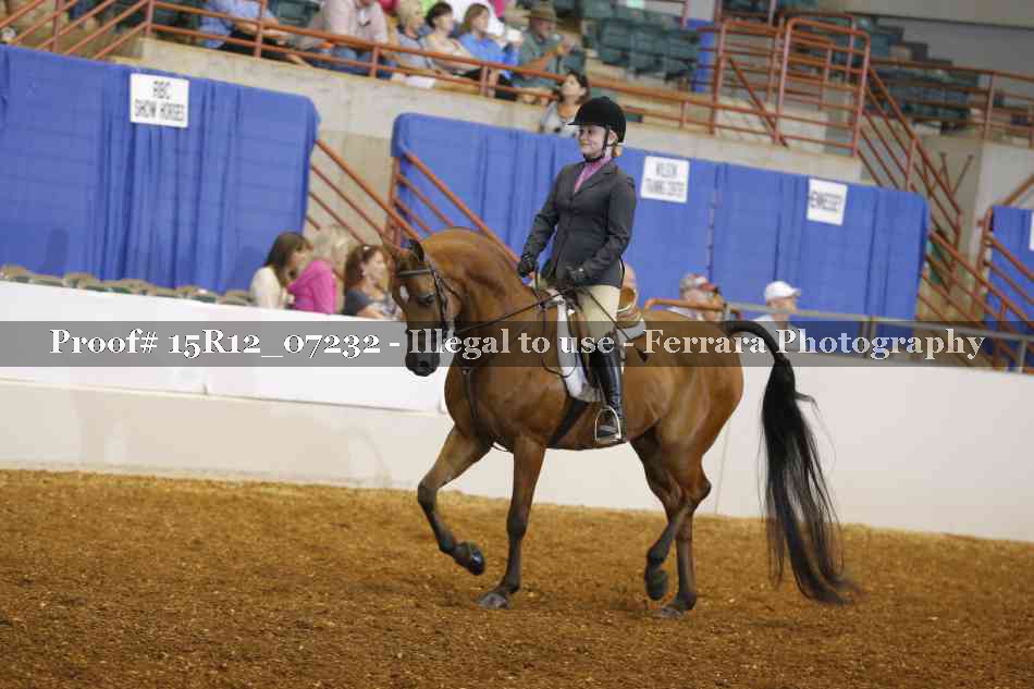 Proof 15R12_07232