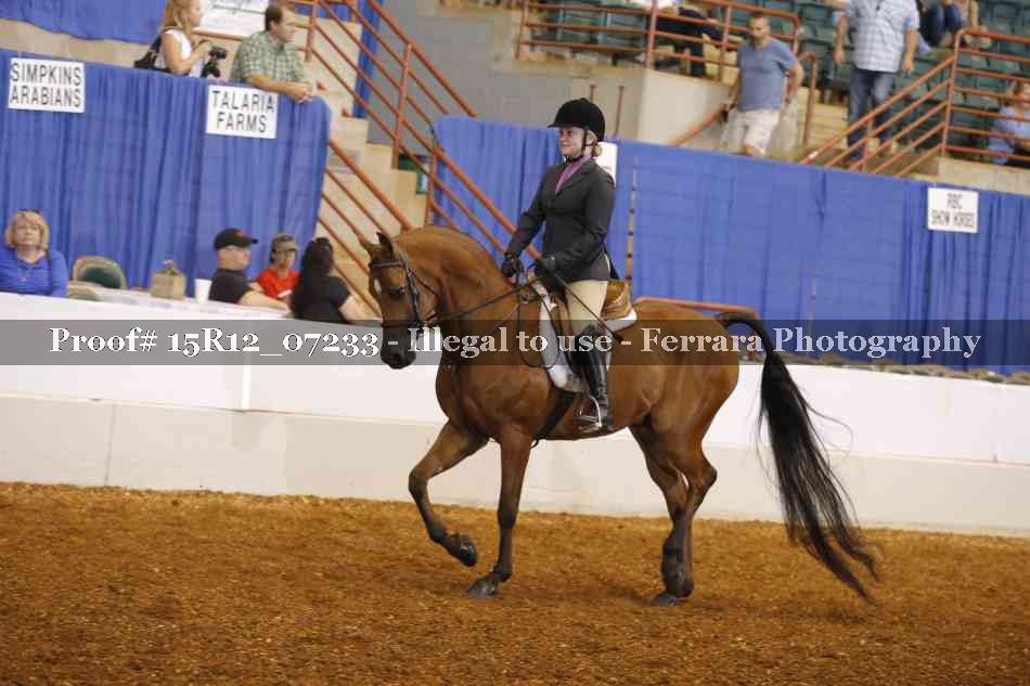 Proof 15R12_07233