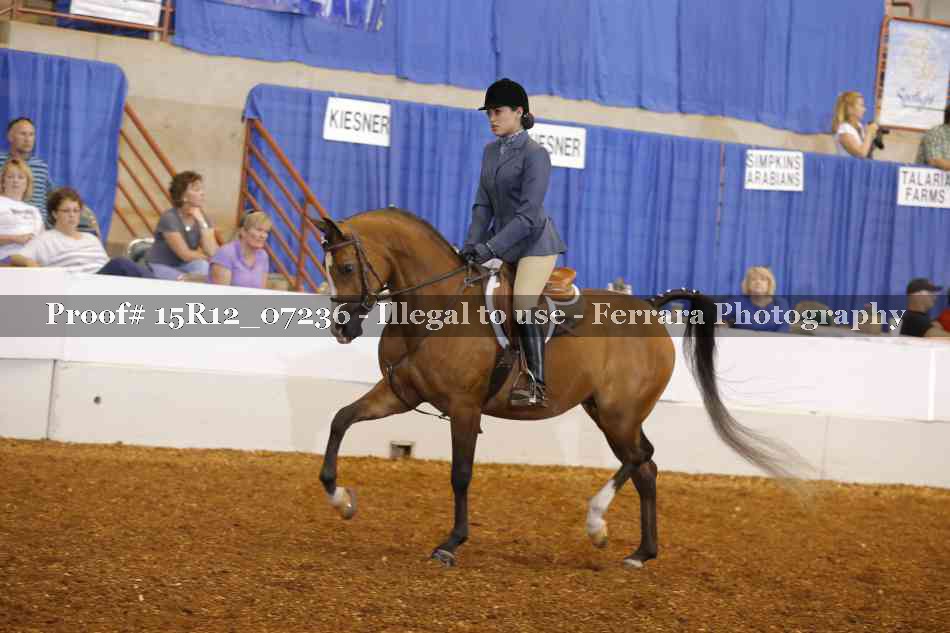 Proof 15R12_07236