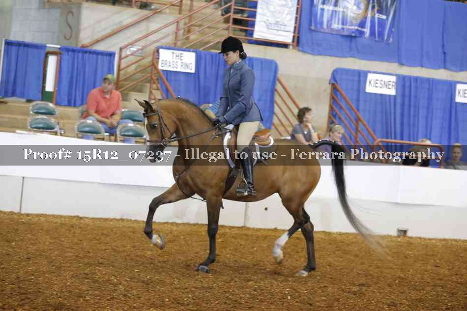Proof 15R12_07237