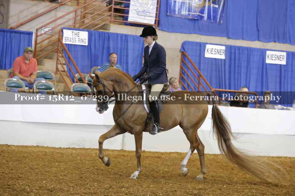 Proof 15R12_07239