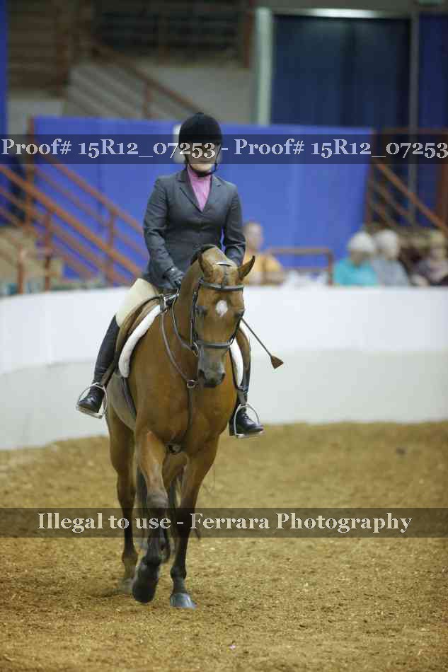 Proof 15R12_07253