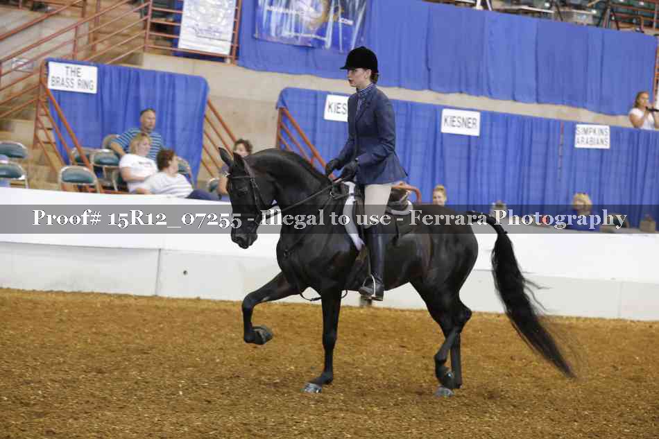 Proof 15R12_07255