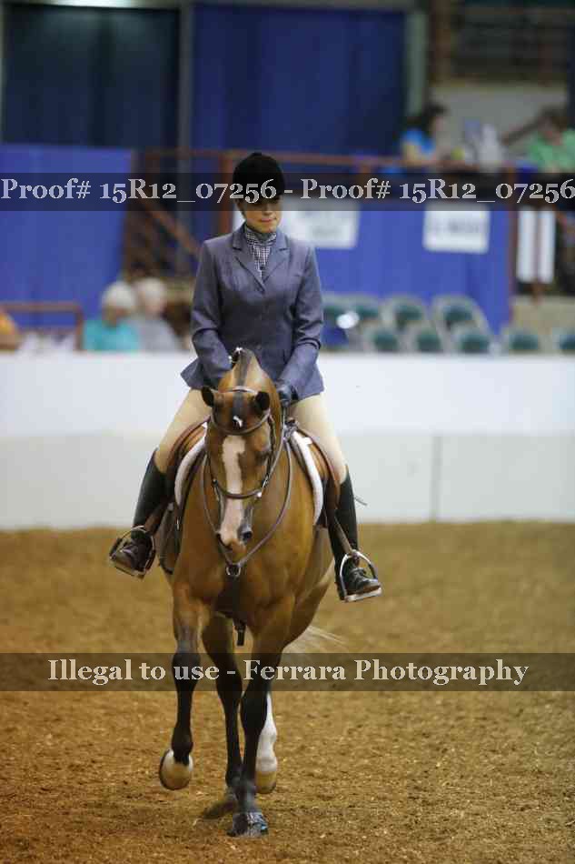 Proof 15R12_07256