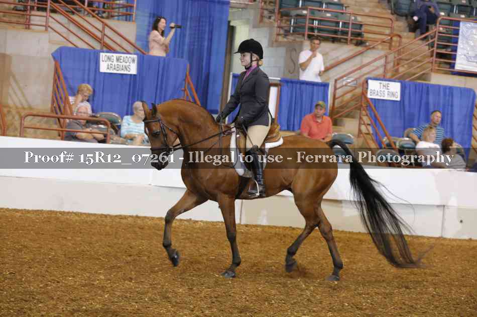 Proof 15R12_07261