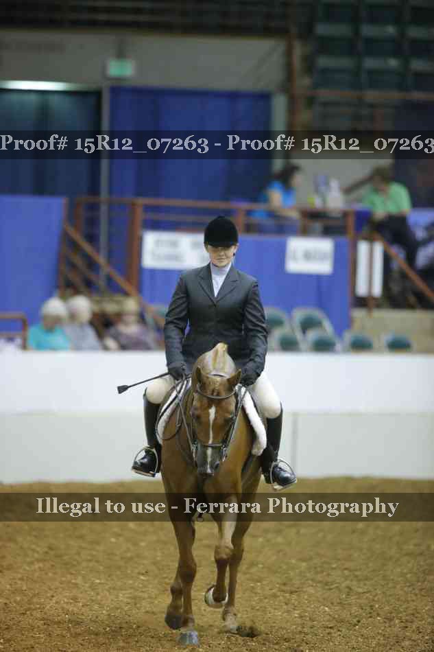 Proof 15R12_07263