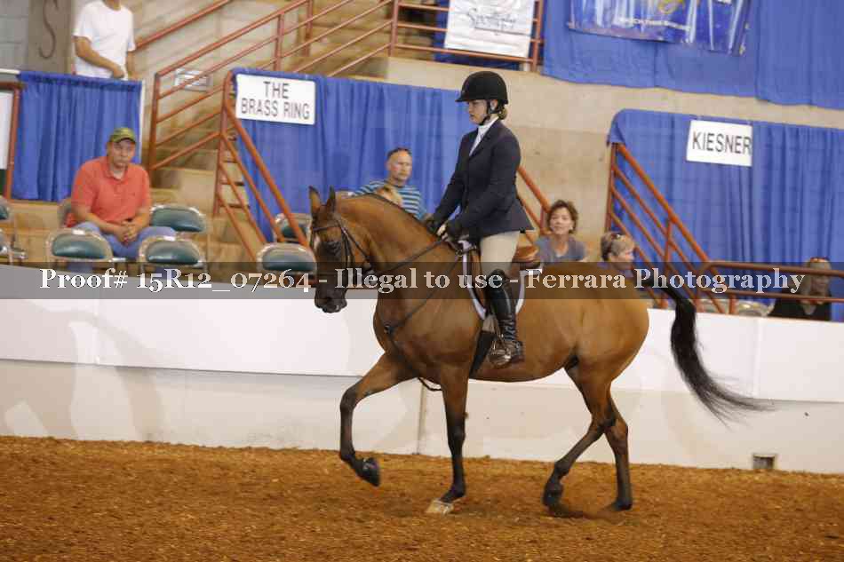 Proof 15R12_07264