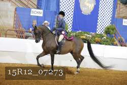 15R12_07273 proof