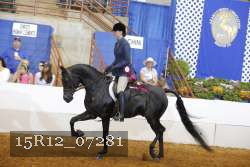 15R12_07281 proof