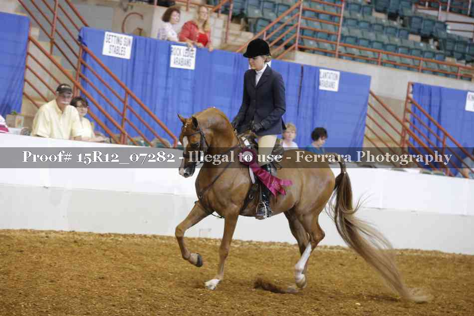 Proof 15R12_07282