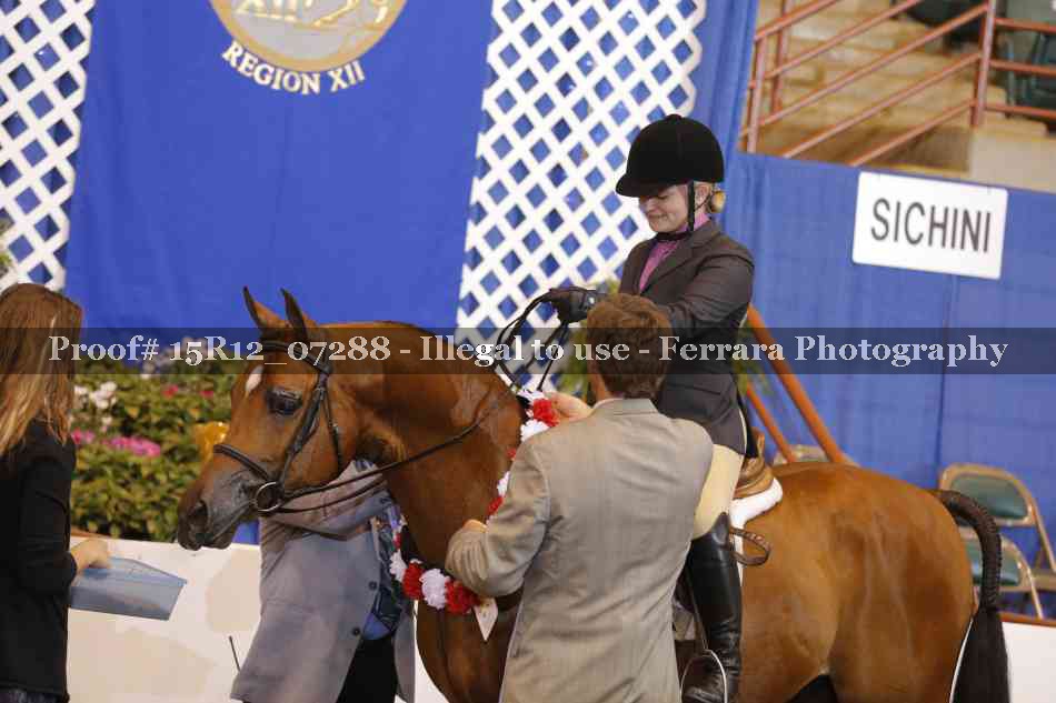 Proof 15R12_07288