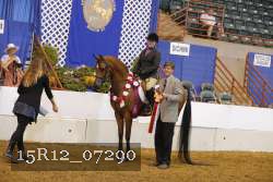 15R12_07290 proof