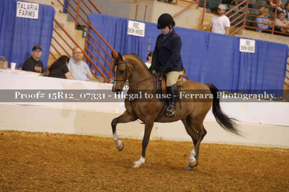 Proof 15R12_07331