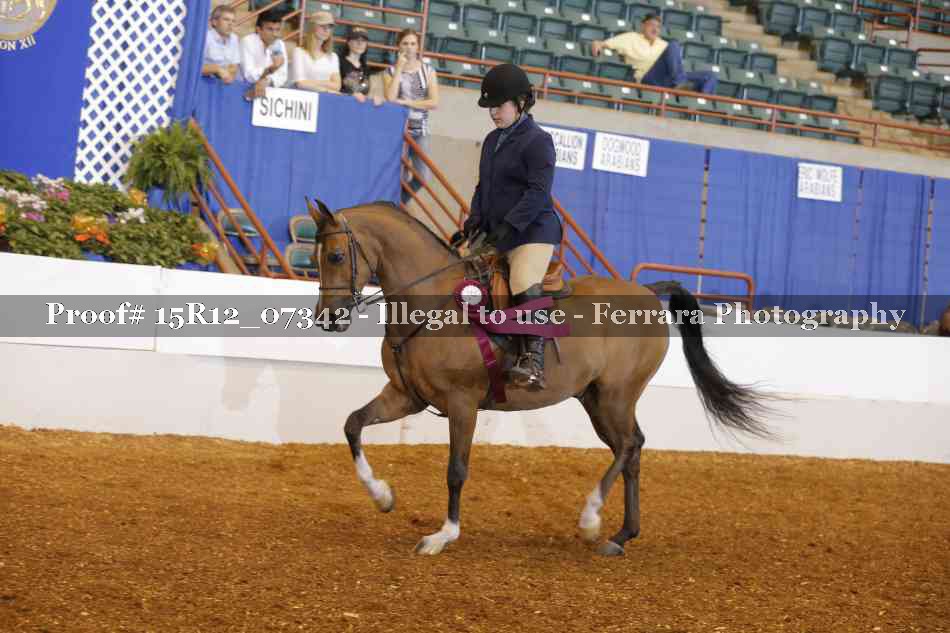 Proof 15R12_07342