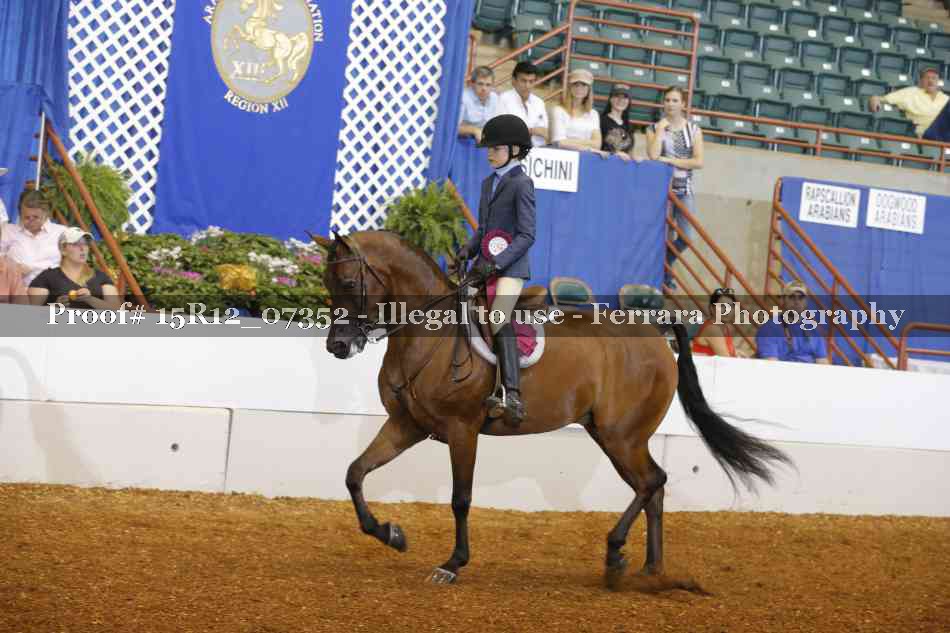 Proof 15R12_07352