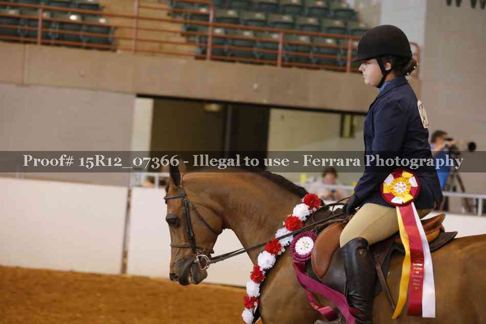 Proof 15R12_07366