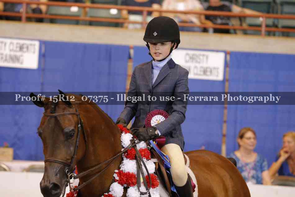 Proof 15R12_07375
