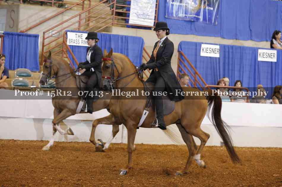 Proof 15R12_07413