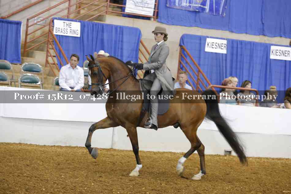 Proof 15R12_07428