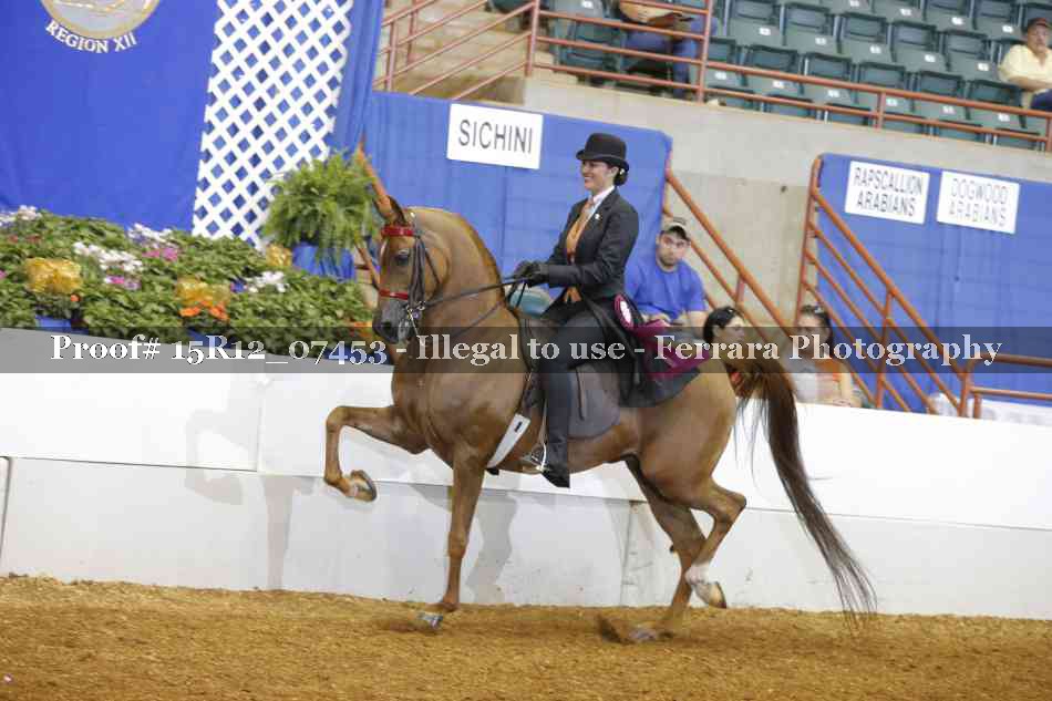 Proof 15R12_07453