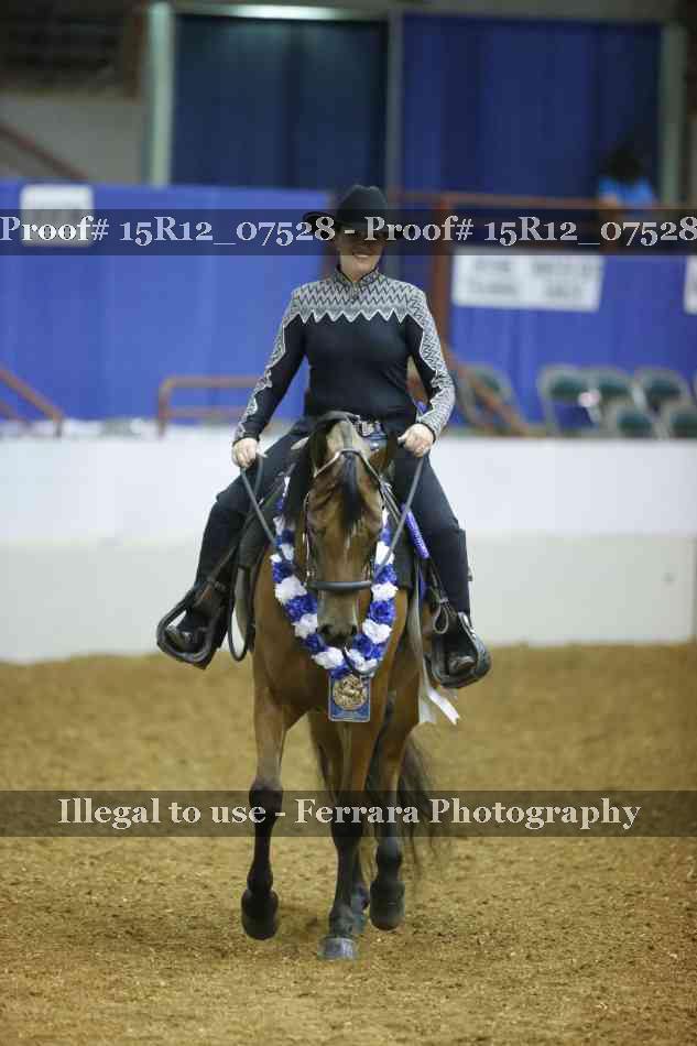 Proof 15R12_07528
