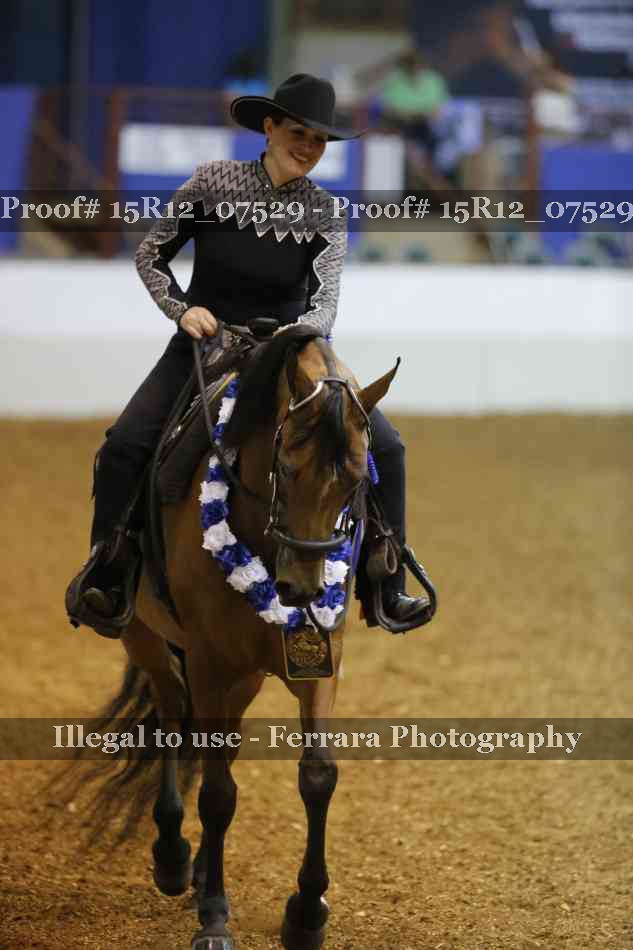 Proof 15R12_07529