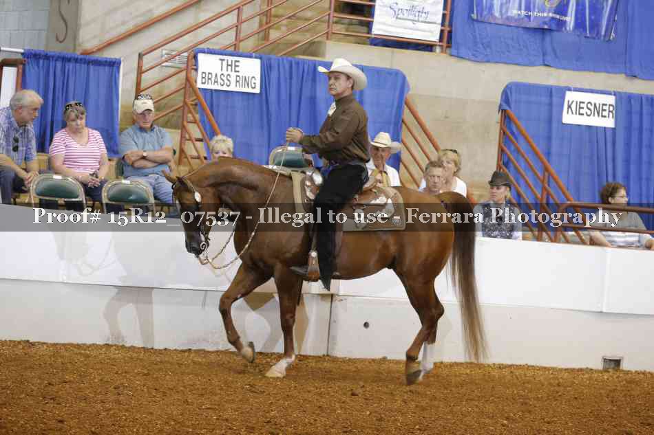 Proof 15R12_07537