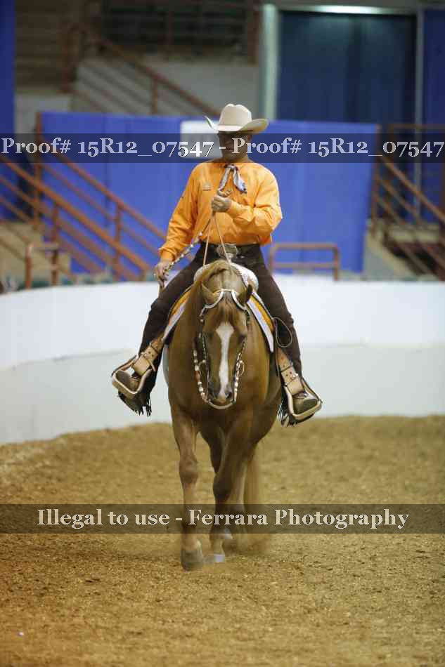 Proof 15R12_07547