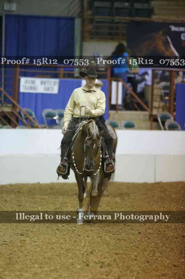 Proof 15R12_07553