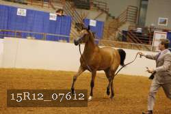 15R12_07612 proof