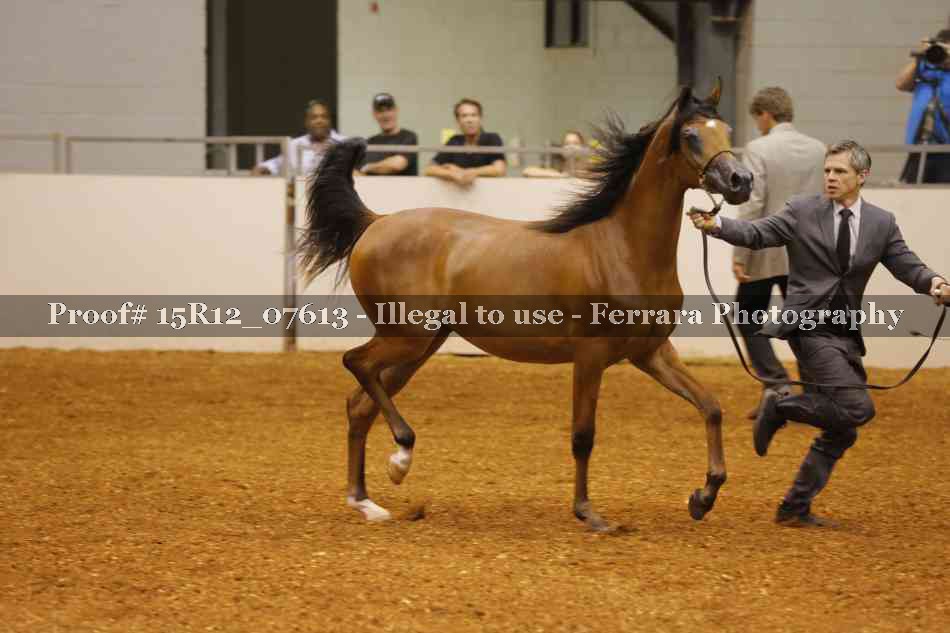 Proof 15R12_07613