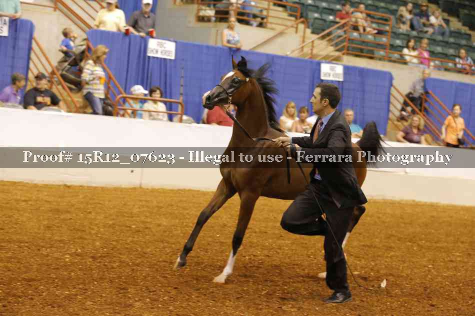 Proof 15R12_07623