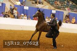 15R12_07623 proof