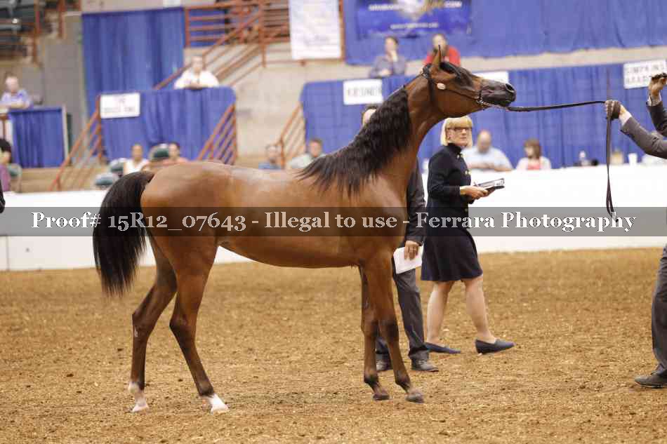 Proof 15R12_07643