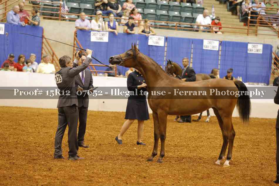 Proof 15R12_07652