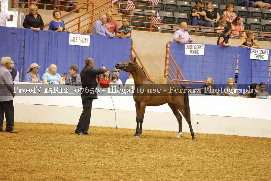 Proof 15R12_07656