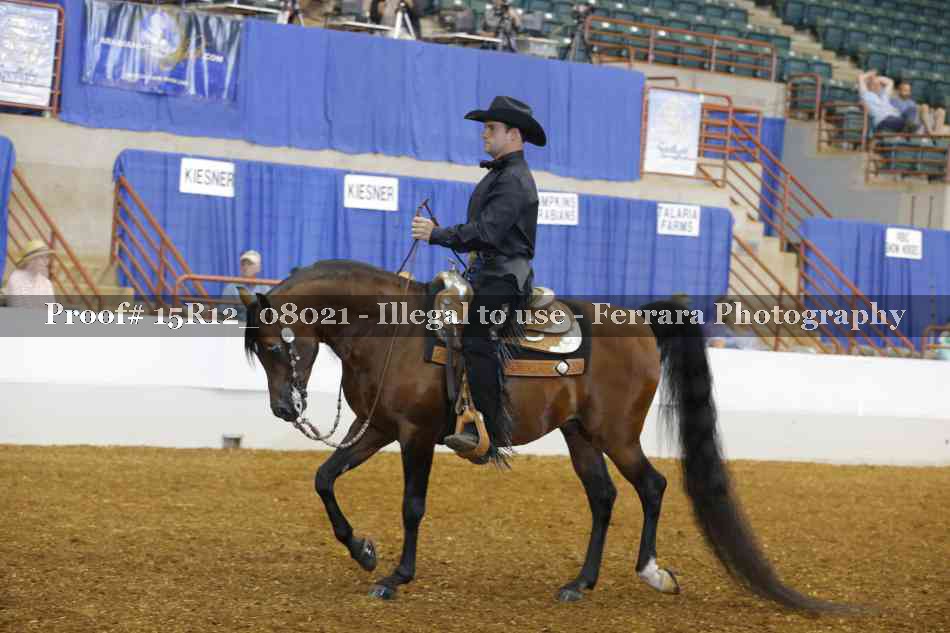 Proof 15R12_08021