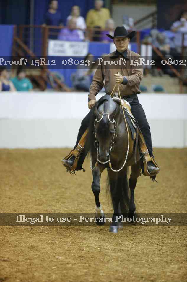 Proof 15R12_08023