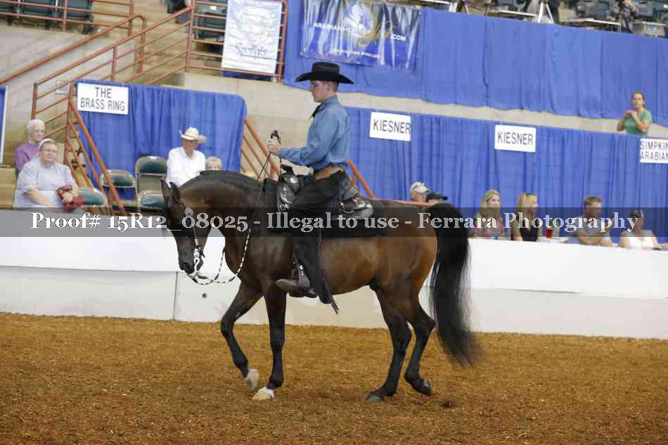 Proof 15R12_08025