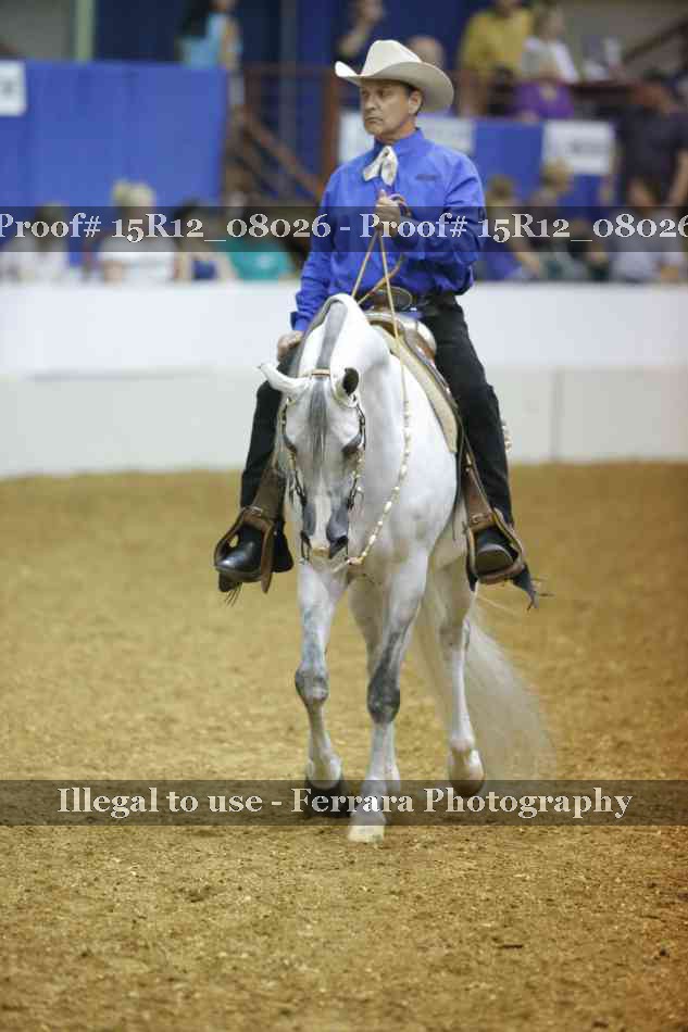 Proof 15R12_08026