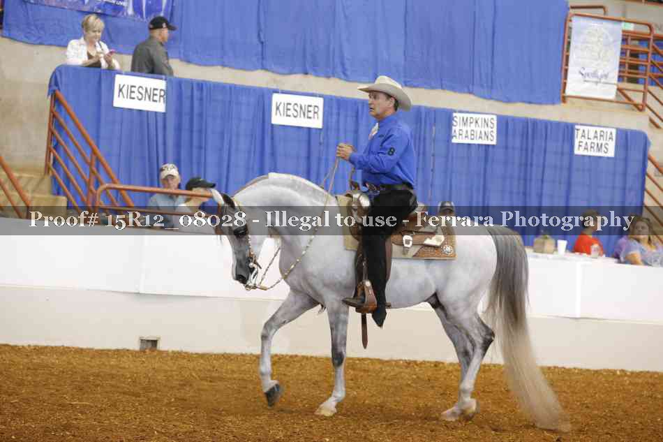 Proof 15R12_08028