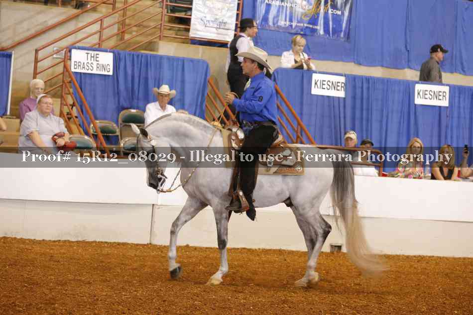 Proof 15R12_08029