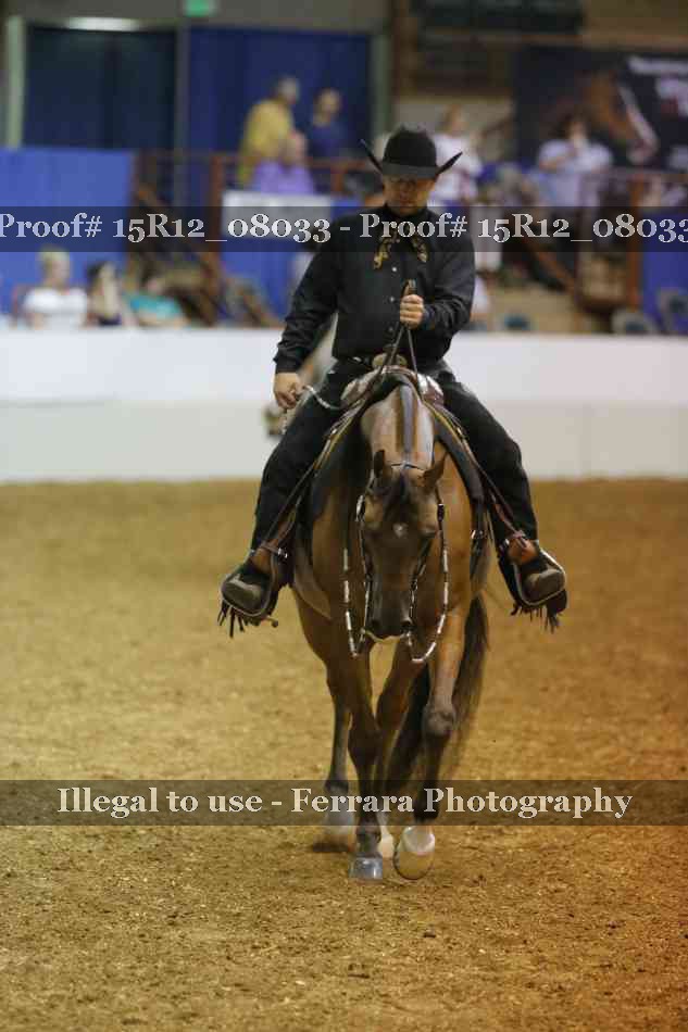 Proof 15R12_08033
