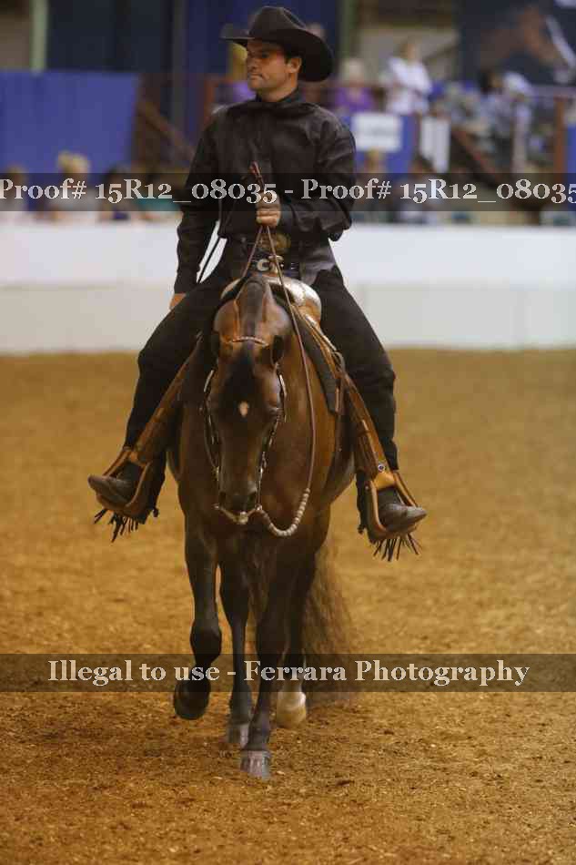 Proof 15R12_08035