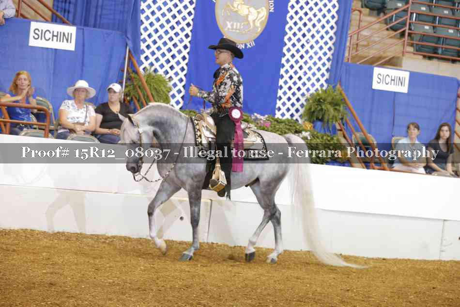 Proof 15R12_08037