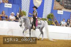 15R12_08037 proof