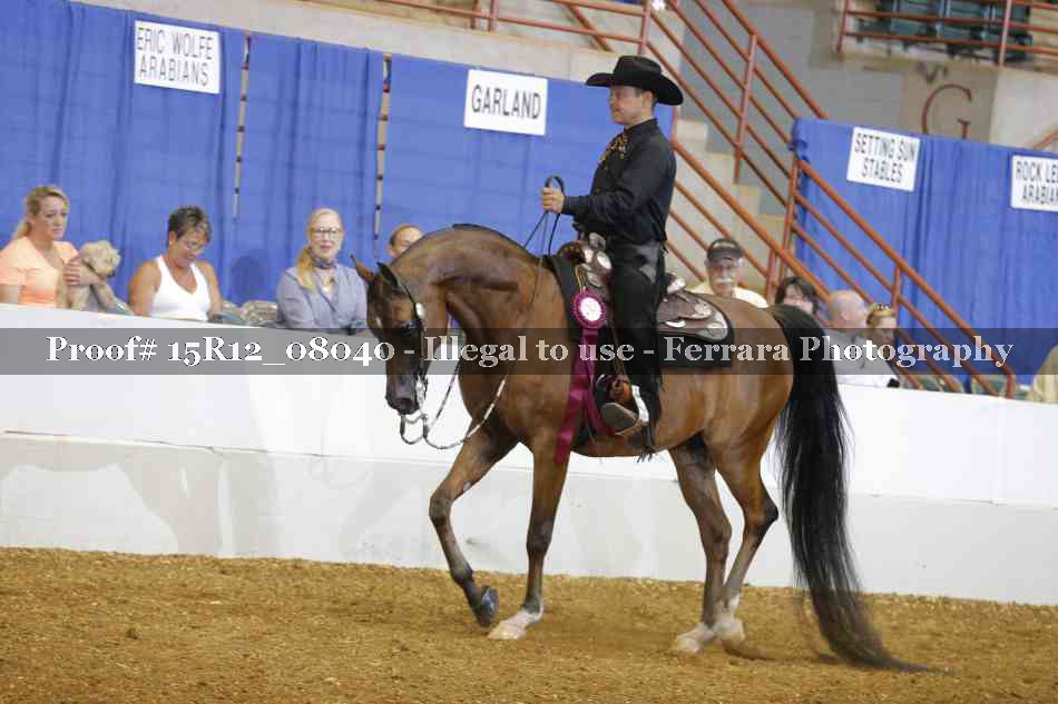 Proof 15R12_08040