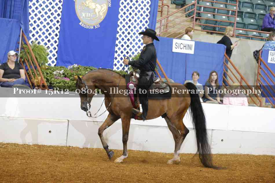 Proof 15R12_08041